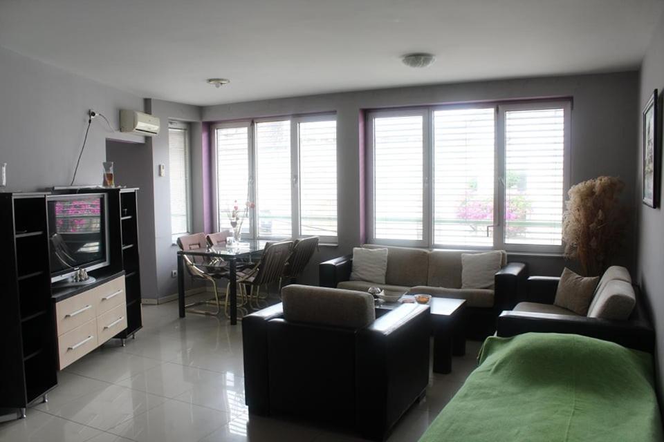 Apartman Natasa 1 Vrsac Dış mekan fotoğraf