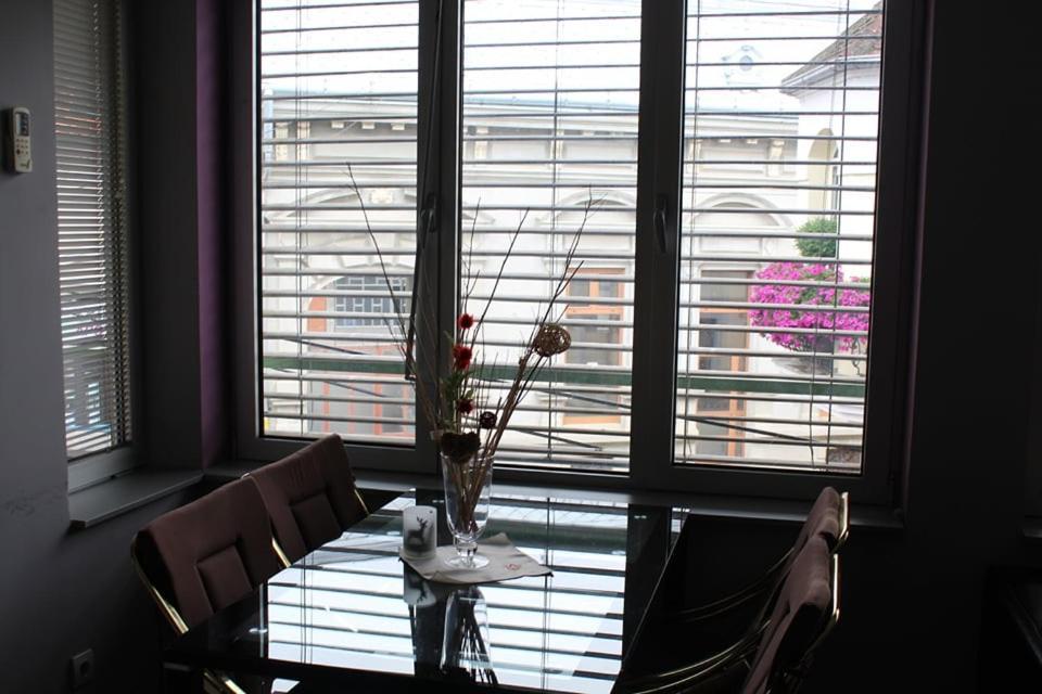 Apartman Natasa 1 Vrsac Dış mekan fotoğraf