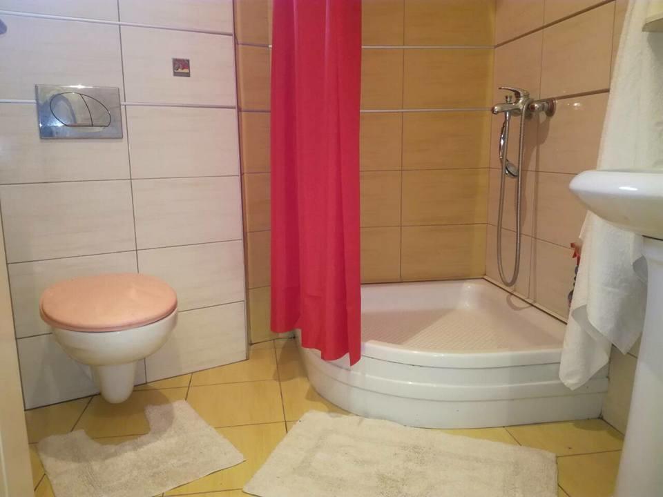 Apartman Natasa 1 Vrsac Dış mekan fotoğraf